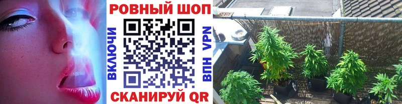  COCAIN Ачинск