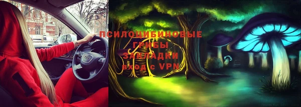 синтетический гашиш Алексин