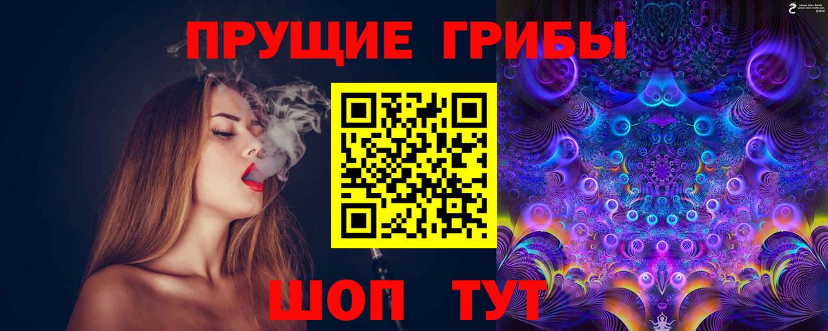 Псилоцибиновые грибы мицелий Ачинск