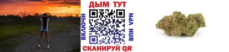 блэк спрут вход  Ачинск  Шишки марихуана сатива  купить  цена 